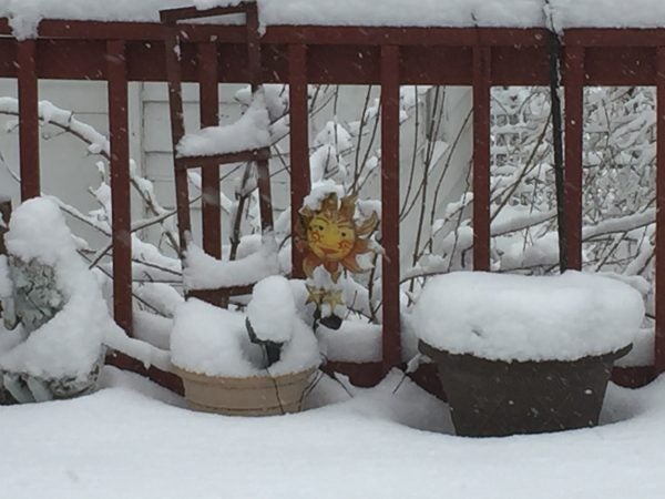 The sun peeks out amid all the snow (Nora O'Dowd/WHYY)