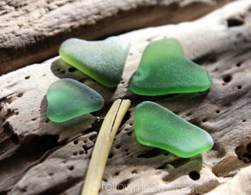 In celebration of St. Patrick's Day, @followme2thesea/Instagram made a sea glass shamrock. 
