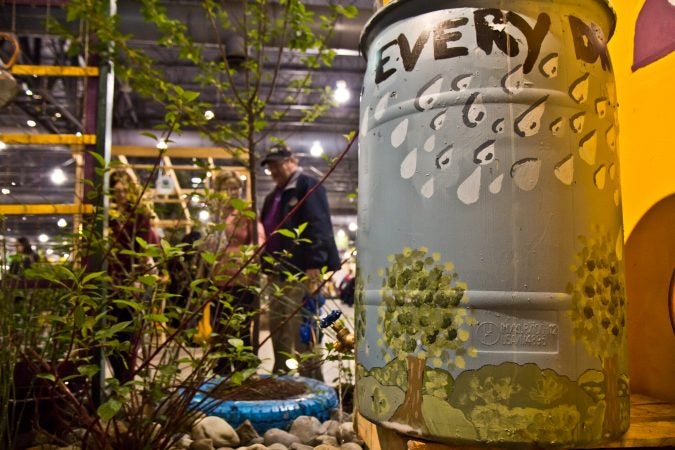 W. B. Saul H.S. created a rain garden as their 2018 Philadelphia Flower Show exhibit. (Kimberly Paynter/WHYY)