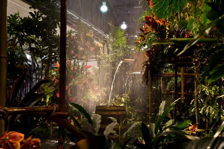 The 2018 Philadelphia Flower Show theme Wonders of Water inspired the main exhibit rainforest theme. (Kimberly Paynter/WHYY)