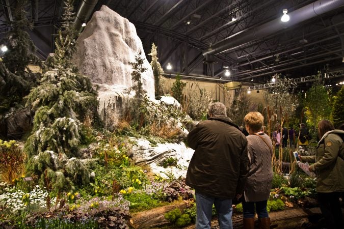 Hunter Hayes Landscape Design from Ardmore, Pa., created Spring Thaw. (Kimberly Paynter/WHYY)