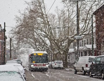 Heavy wet snow falls in West Philadelphia Wednesday morning. (Kimberly Paynter/WHYY)