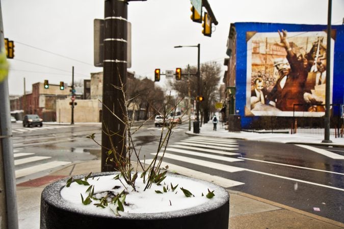 Wednesday morning brought only sleet to Philadelphia. (Kimberly Paynter/WHYY)