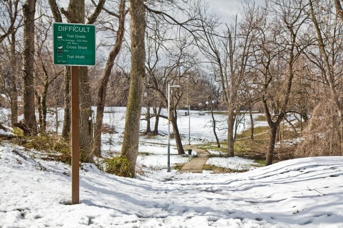 Olney’s Fisher Park is one of the largest in Philadelphia. (Kimberly Paynter/WHYY