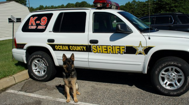 Ocean County Sheriff's Department image.