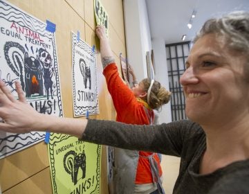 Women cover the closed doors to the Chuck Close gallery at the Pennsylvania Academy of Fine Arts with protest posters featuring a drawing of a skunk and reading 