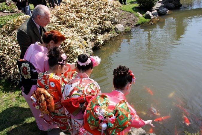 Joseph Zuritsky (right) who donated his prized koi fish to the Shofuso Japanese House and Garden in Fairmount Park, tosses food to the koi with students from the Japanese Language School of Philadelphia. (Emma Lee/WHYY)
