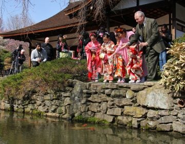 Joseph Zuritsky (right) who donated his prized koi fish to the Shofuso Japanese House and Garden in Fairmount Park, tosses food to the koi with students from the Japanese Language School of Philadelphia.