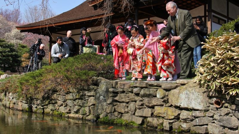 Joseph Zuritsky (right) who donated his prized koi fish to the Shofuso Japanese House and Garden in Fairmount Park, tosses food to the koi with students from the Japanese Language School of Philadelphia. (Emma Lee/WHYY)