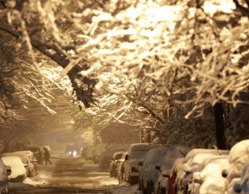 Tree branches and cars are tree branches are covered by heavy snow during a snowstorm last month in Jersey City, N.J. A Garden State lawmakers wants to make sure utility companies are held accountable for their response to power outages from such storms. (AP Photo/Julio Cortez)