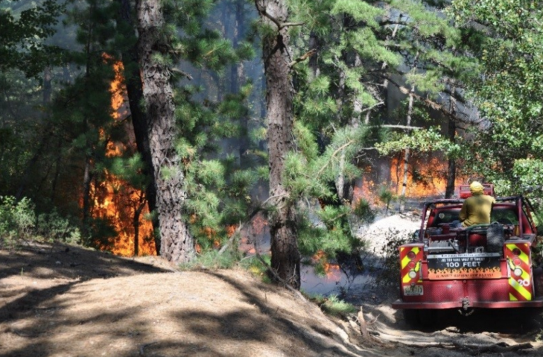 New Jersey Forest Fire Service (File image) 