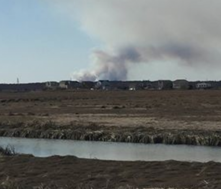 The smoke plume generated from the wildfire near Lake Oswego in Burlington County Sunday afternoon. (Photo: JSHN contributor Stacy Lynne Herrick)