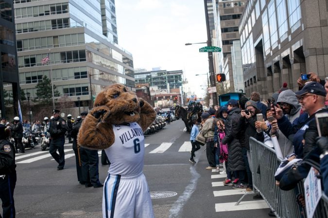 The Villanova mascot Wil D. Cat pumped up fans before the teams parade to celebrate their NCAA Championship Thursday Morning on Market Street. (Brad Larrison for WHYY)