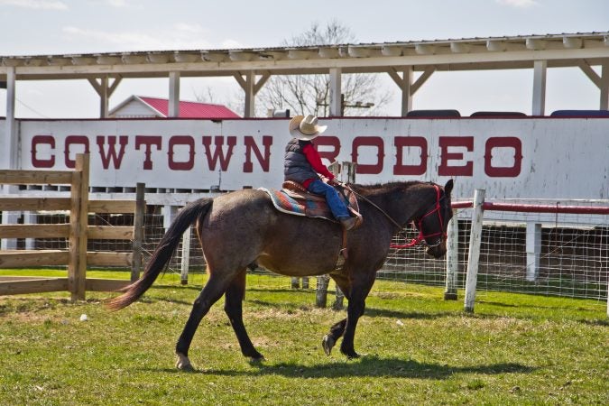 Nate, the Harris family’s grandson, rides in pastures of the Cowtown Rodeo in Pilesgrove Township, N.J. (Kimberly Paynter/WHYY)