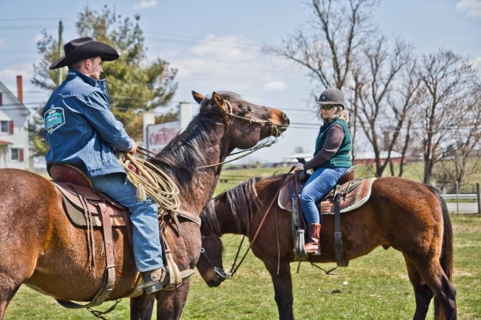 Horses Cesar and The Bay bask in the sun at the Cowtown Rodeo in Pilesgrove Township, N.J. (Kimberly Paynter/WHYY)