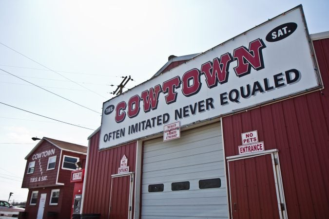 The Cowtown Rodeo in Pilesgrove Township, N.J. (Kimberly Paynter/WHYY)