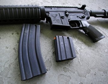 A 30-round magazine, left, and a 10-round magazine (right) rest below an AR-15 rifle. (AP Photo/Charles Krupa)