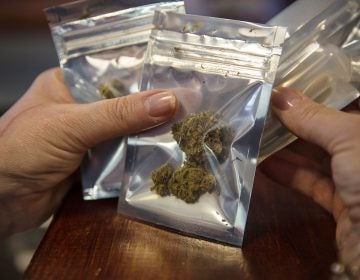 Researchers looked at states with medical marijuana dispensaries and those that allow home cultivation.