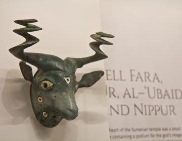 Goat head made of copper alloy, shell and stone, 2475-2300 BCE. (Kimberly Paynter/WHYY)