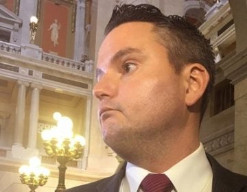 GOP Representative Nick Miccarelli has been called to resign from the House, among other things. But critics have urged House leaders to go further and forcibly remove him from office. (AP, file)