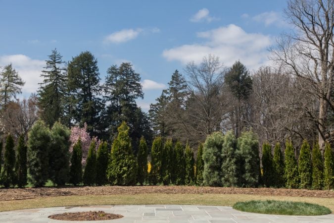 Stoneleigh Gardens is the newest preserve from Natural Lands. Formally the estate of the Haas Family, the gardens will open to the public in May 2018. (Emily Cohen for WHYY)