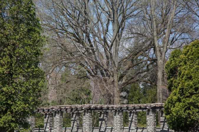 Stoneleigh Gardens is the newest preserve from Natural Lands. Formally the estate of the Haas Family, the gardens and grounds will open to the public in May 2018. Many of the structures are over 100 years old. (Emily Cohen for WHYY)