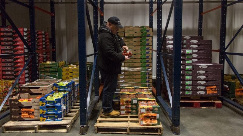 Jimmy taste-tests some vine tomatoes for flavor. (Emily Cohen for WHYY)