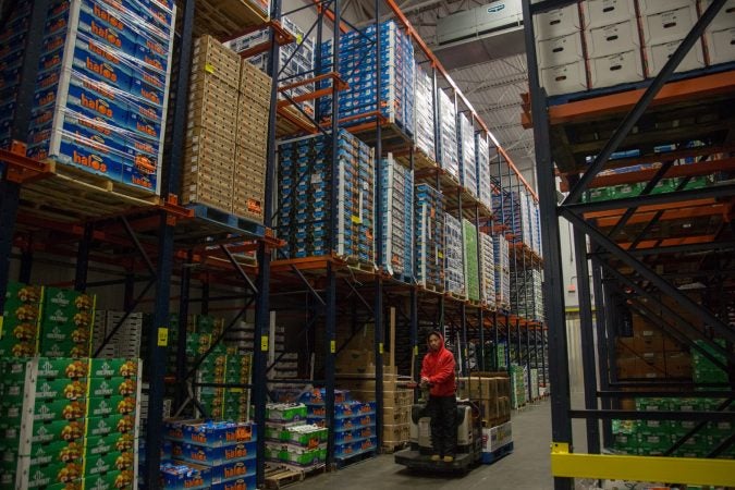 Massive refrigeration halls sit behind each vendor at the Philadelphia Wholesale Produce Center containing stacks of produce for all of Philadelphia. (Emily Cohen for WHYY)