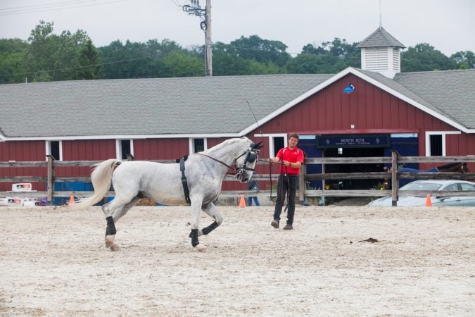 A trainer warms up a horse at the Devon Horse Show. (Brad Larrison for WHYY)