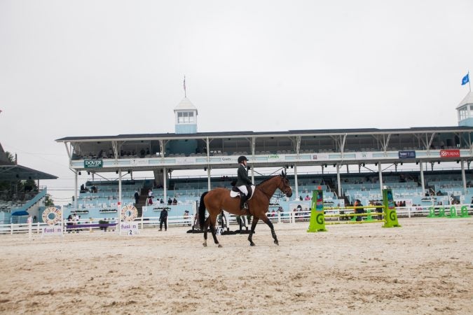 The 122nd edition of the Devon Horse Show began this Thursday and runs until Sunday, June 3. (Brad Larrison for WHYY)