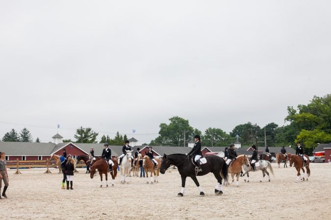 Competitors walk their horses before running the course. (Brad Larrison for WHYY)