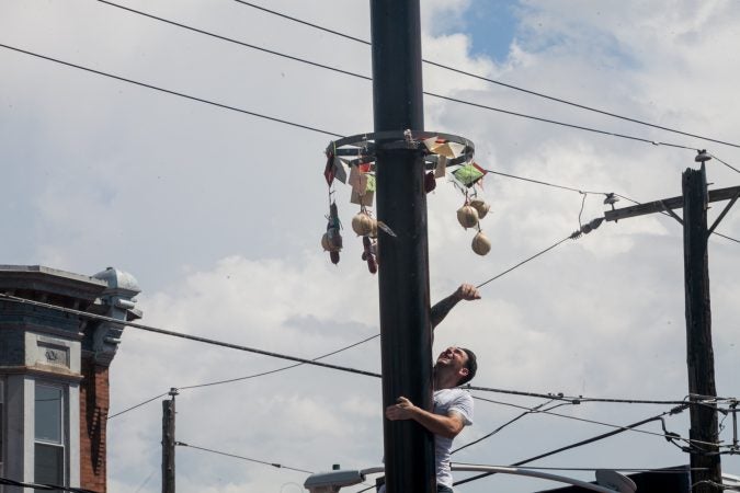Nick Cordisio climbs on to his teammates shoulders and grabs a piece of cured meat that hung from the top of the grease pole. (Brad Larrison for WHYY)