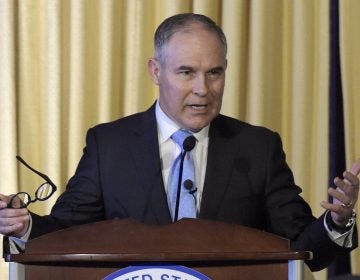 Environmental Protection Agency Administrator Scott Pruitt said last week that the agency “will take the next step under the Safe Drinking Water Act process to evaluate the need of a maximum contaminant level for PFOA and PFOS. (Susan Walsh/AP Photo)