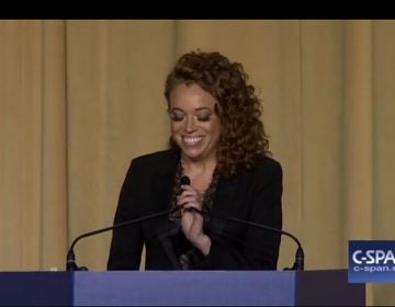 Comedian Michelle Wolf at the 2018 White House Corespondents Dinner (CSPAN)