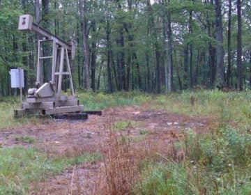 Dead vegetation around a conventional well site in Warren County indicates a possible brine spill. (Pa. Dept. of Environmental Protection)