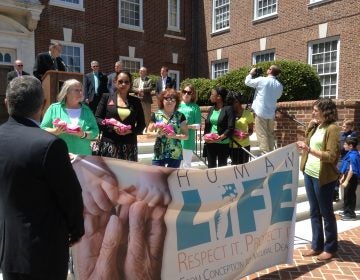 Delaware legislators have proposed a bill that aims to prevent abortions after 20 weeks. (Zoe Read/WHYY)