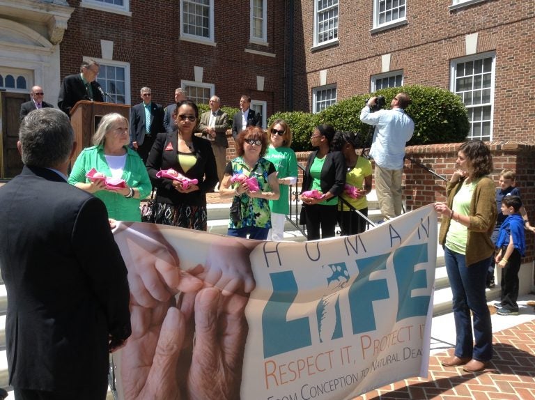 Delaware legislators have proposed a bill that aims to prevent abortions after 20 weeks. (Zoe Read/WHYY)