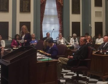 Delaware state Sen. Stephanie Hansen speaks out in support of the Equal Rights Amendment, whicn was defeated Wednesday night. (Zoë Read/WHYY)