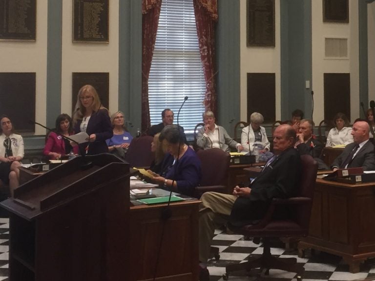 Delaware state Sen. Stephanie Hansen speaks out in support of the Equal Rights Amendment, whicn was defeated Wednesday night. (Zoë Read/WHYY)