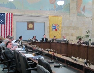 New Jersey's Senate Budget Committee holds the final public hearing on Gov. Phil Murphy’s proposed budget Tuesday. (Phil Gregory/WHYY)