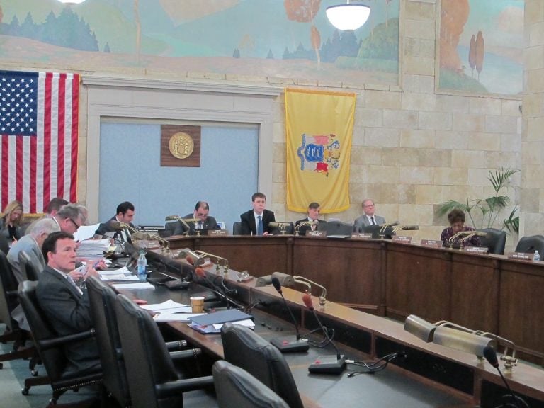 New Jersey's Senate Budget Committee holds the final public hearing on Gov. Phil Murphy’s proposed budget Tuesday. (Phil Gregory/WHYY)