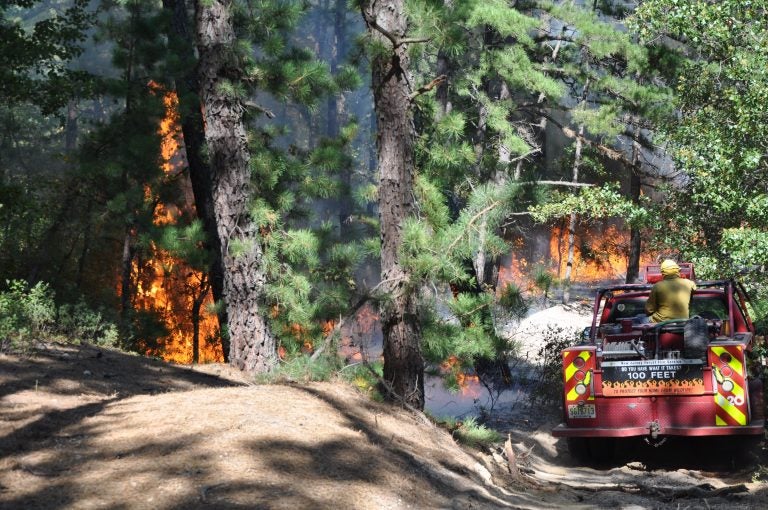 Woodlands fire (NJ Forest Fire Service)