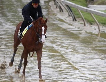 
Kentucky Derby winner Justify, with exercise rider Humberto Gomez aboard, gallops around the track Thursday at Pimlico Race Course in Baltimore. The Preakness Stakes is scheduled to take place Saturday and Justify is the favorite. (Patrick Semansky/AP) 