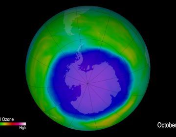 An image provided by NOAA shows the hole in the ozone layer in 2015. NOAA scientists now say emissions of one ozone-depleting chemical appear to be rising, even though the chemical has been banned and reported production has essentially been at zero for years.  (NOAA via AP)