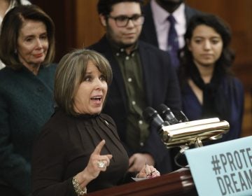Rep. Michelle Lujan Grisham, D-N.M., speaks at a news conference calling for the passage of the Dream Act in January, along with House Democratic leader Nancy Pelosi. Lujan Grisham is one of five Democratic lawmakers, along with nine Republicans, receiving praise over immigration, in the form of paid ads, by the Koch network. (Aaron P. Bernstein/Getty Images)