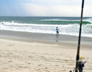 An angler in Island Beach State Park. (Jennifer Husar)