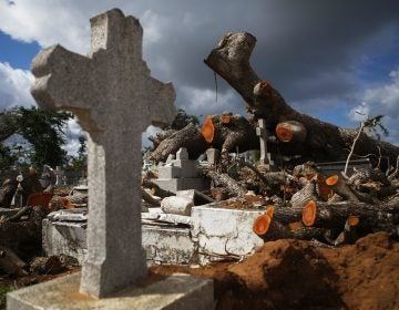 A tree toppled by Hurricane Maria rests over damaged graves in the Villa Palmeras cemetery in San Juan, Puerto Rico, in December 2017. (Mario Tama/Getty Images)