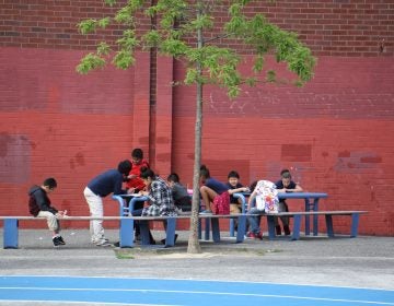 File photo: Trees shade outdoor learning spaces on the Taggart School playground. (Emma Lee/WHYY)