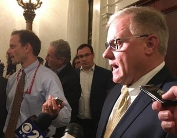 Scott Wagner has resigned his Senate seat early to devote more time to running for governor. (AP)