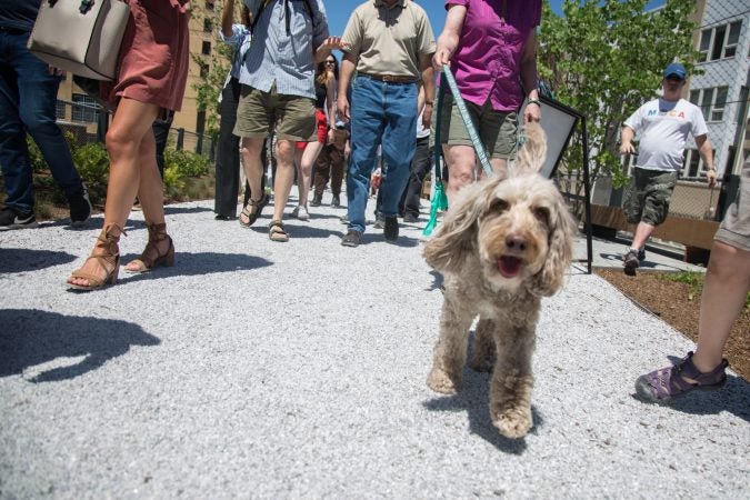 Philadelphians of all ages and species gather to inaugurate the first quarter mile of the Philadelphia Rail Park June 14th 2018. (Emily Cohen for WHYY)